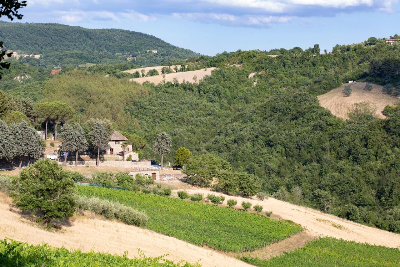 Agriturismo Colle Pu Pieve San Nicolo Kültér fotó