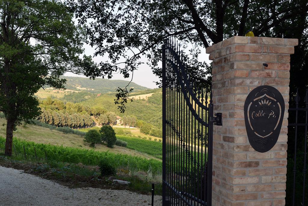 Agriturismo Colle Pu Pieve San Nicolo Kültér fotó
