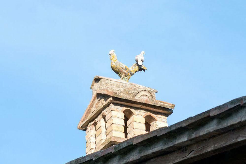 Agriturismo Colle Pu Pieve San Nicolo Kültér fotó