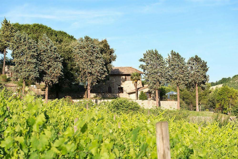 Agriturismo Colle Pu Pieve San Nicolo Kültér fotó