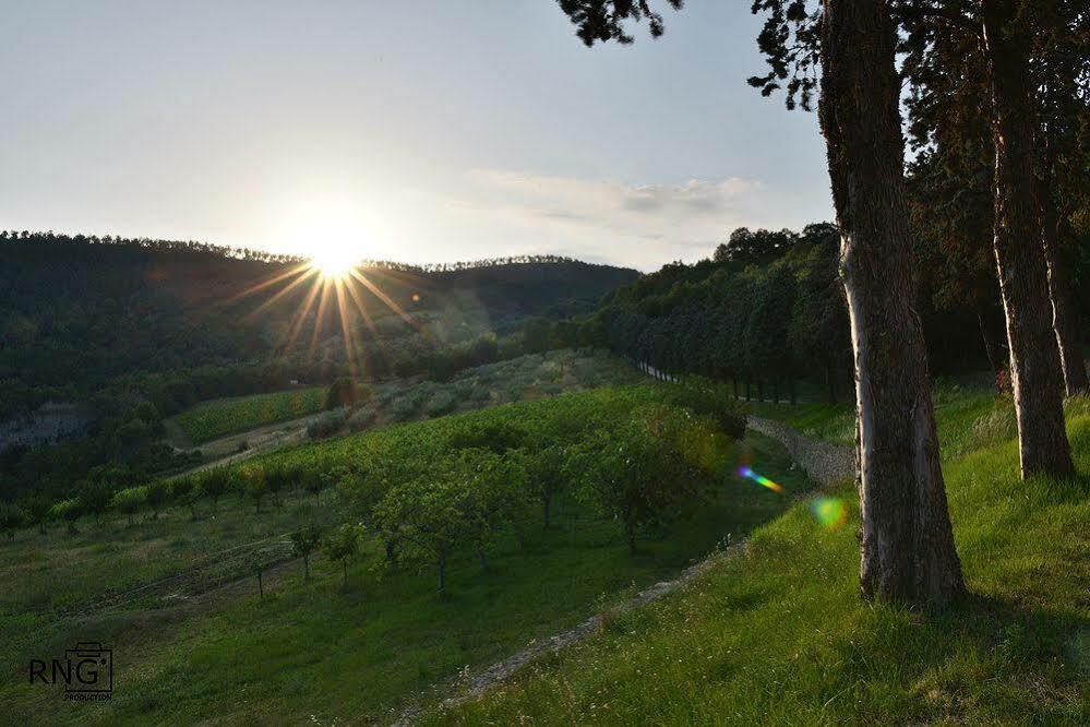 Agriturismo Colle Pu Pieve San Nicolo Kültér fotó