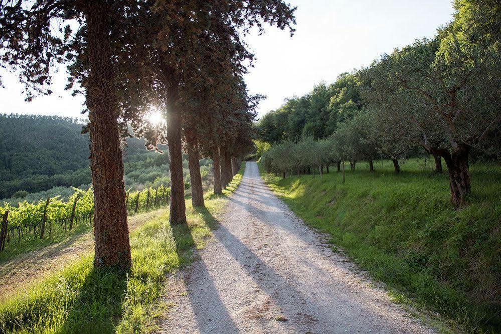 Agriturismo Colle Pu Pieve San Nicolo Kültér fotó